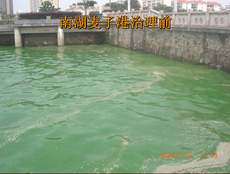 岳陽(yáng)南湖水域污染藍藻爆發(fā)治理項目