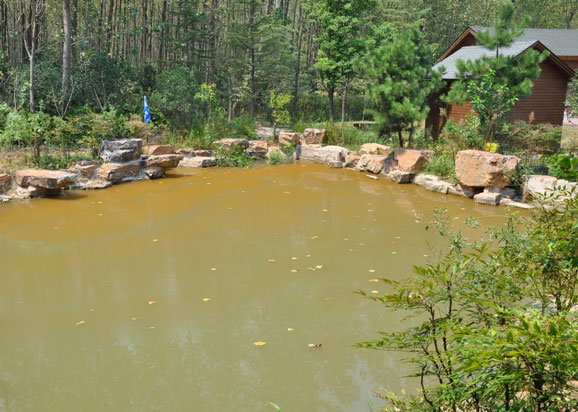 合肥濱湖濕地森林公園水污染應急治理實(shí)驗項目