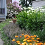 flower-filled front yard